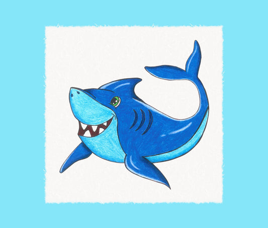 How To Draw a Shark | Step By Step Guide